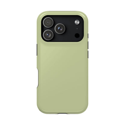 Kiwi iPhone Case