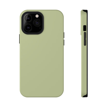 Kiwi iPhone Case
