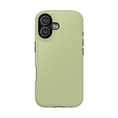 Kiwi iPhone Case