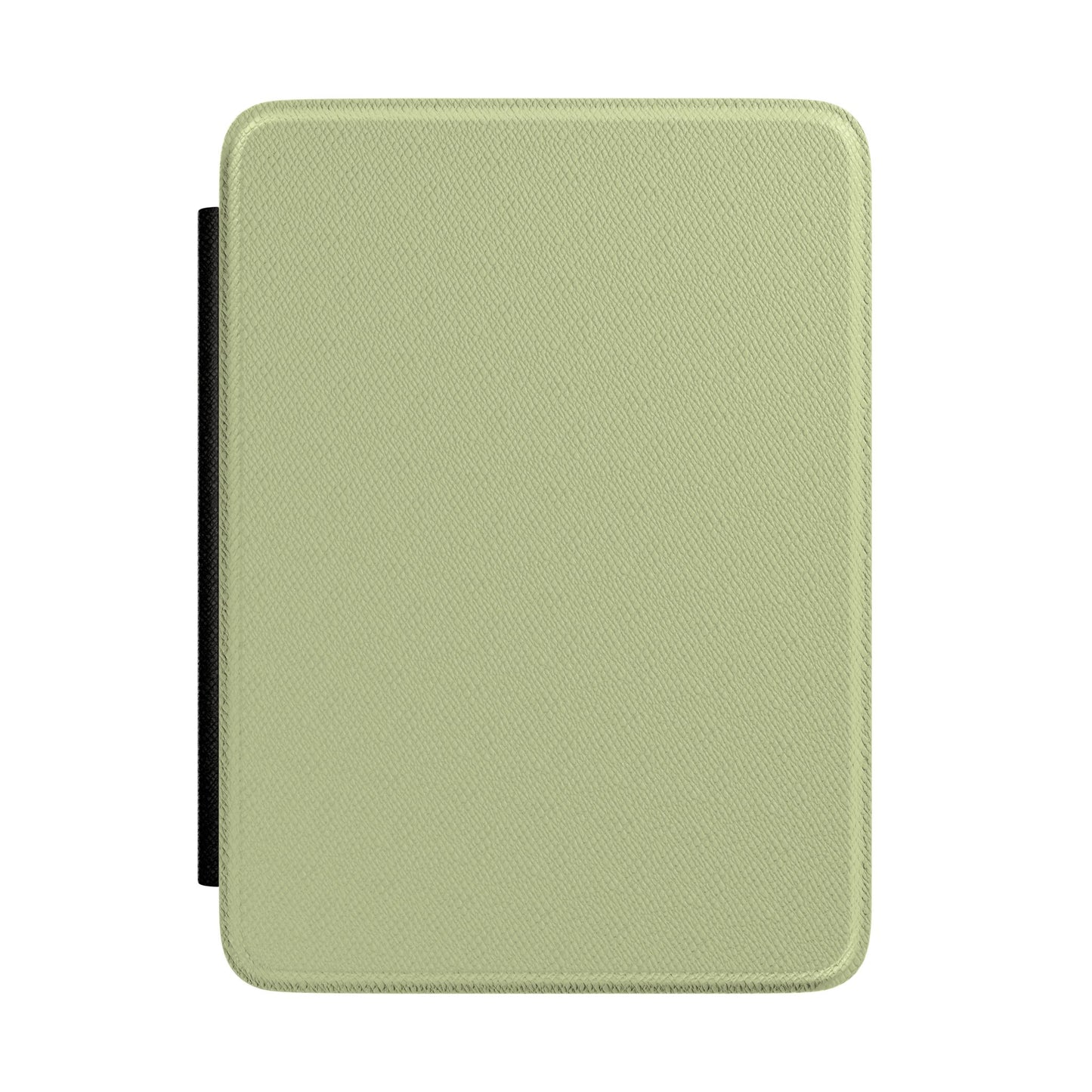 Kiwi Kindle Case