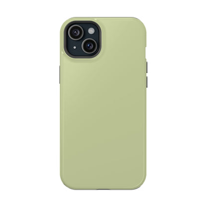 Kiwi iPhone Case