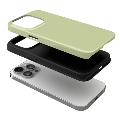 Kiwi iPhone Case
