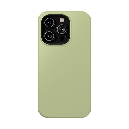 Kiwi iPhone Case