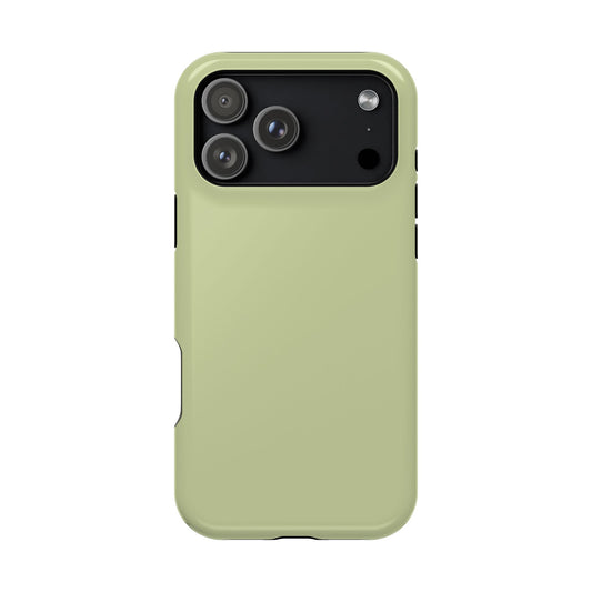 Kiwi iPhone Case
