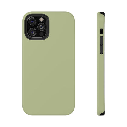 Kiwi iPhone Case