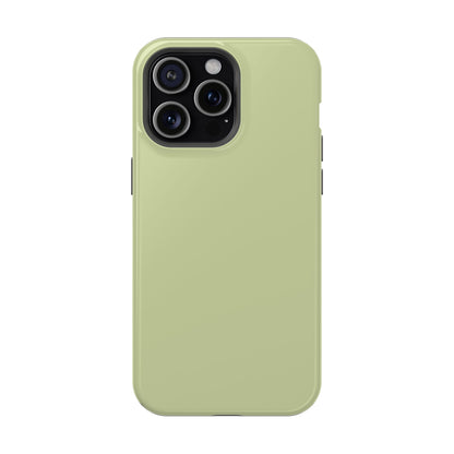 Kiwi iPhone Case