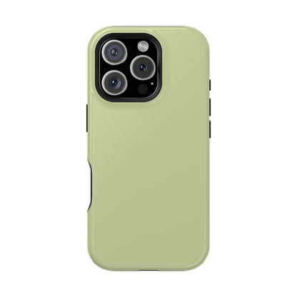 Kiwi iPhone Case